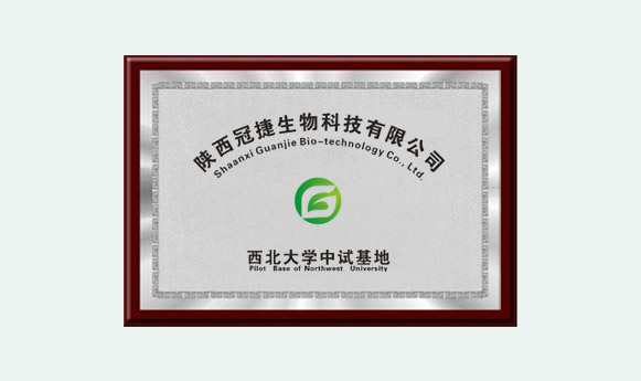 校企联合，质量保证